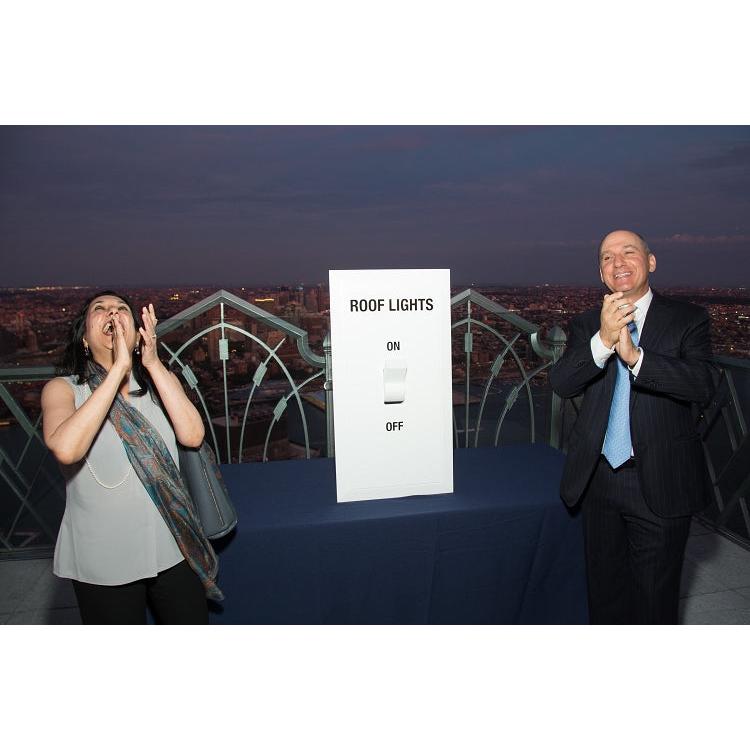 Giant Light Switch - 3 Feet