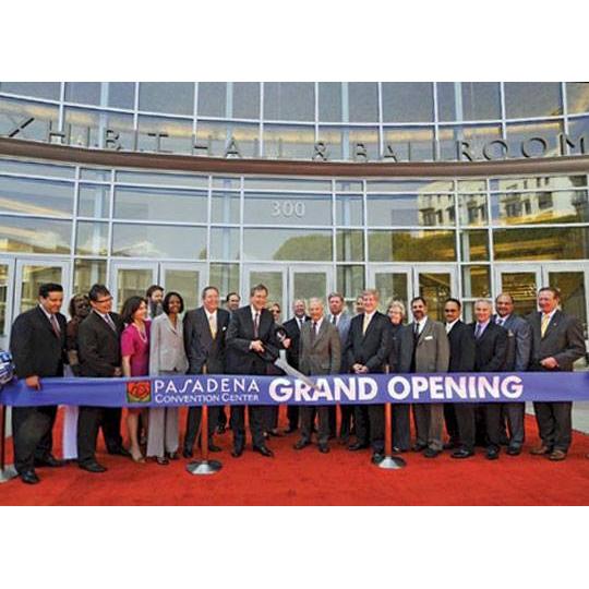 12 inch Purple Custom Ribbon