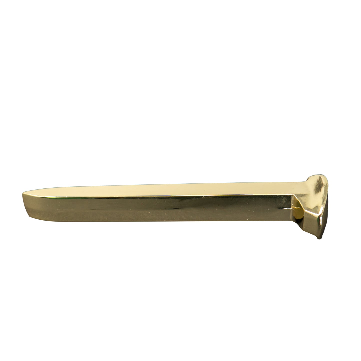 Ceremonial Railroad Spikes