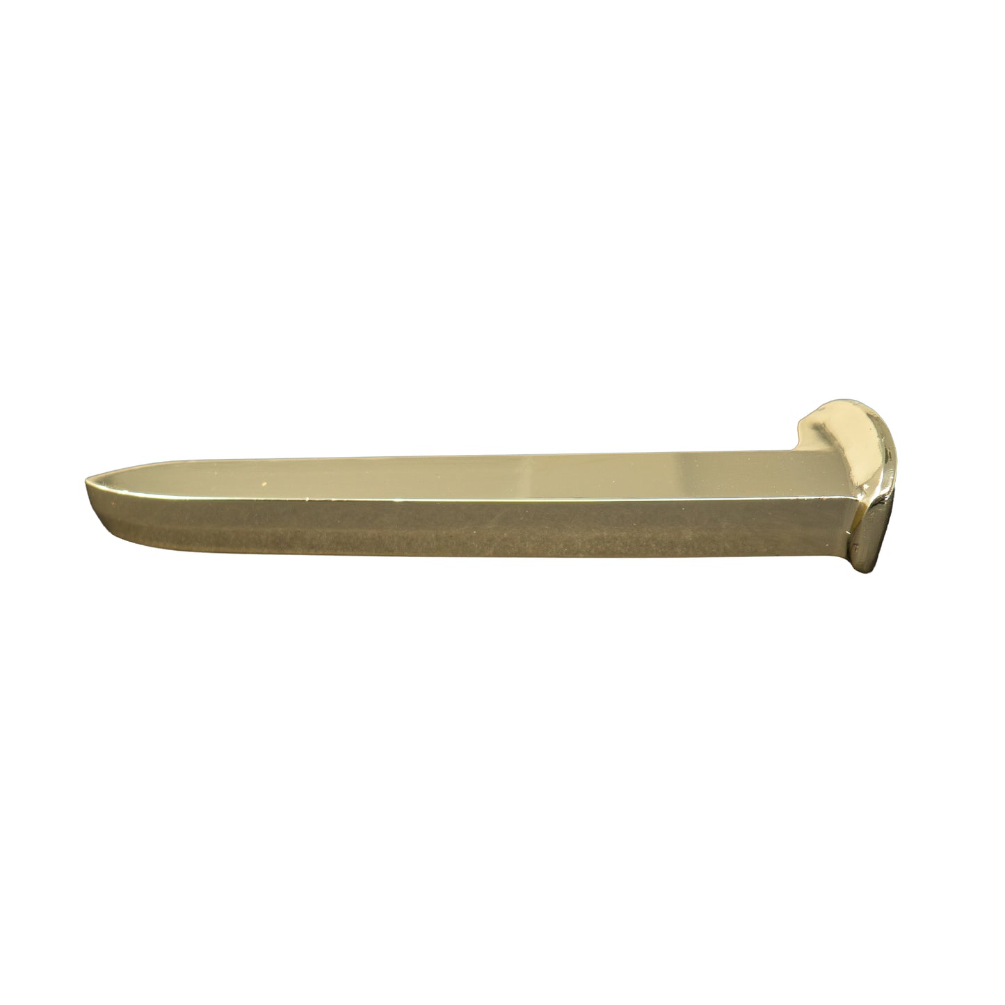 Ceremonial Railroad Spikes