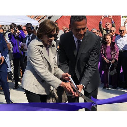 Premium 25 inch Silver Handles Silver Blade Scissors