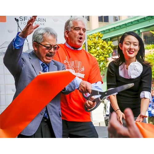 Premium 25 inch Silver Handles Silver Blade Scissors