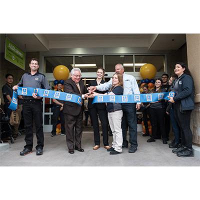 15 inch GOLD Plated Ceremonial Scissors