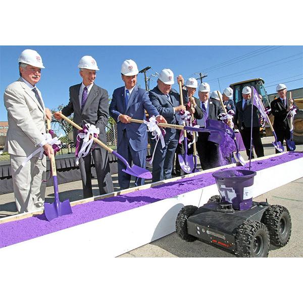 Purple Colored Sand in White Ground Breaking Display Boxes