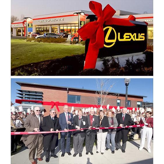 3-D Giant RED Velvet Building Bows