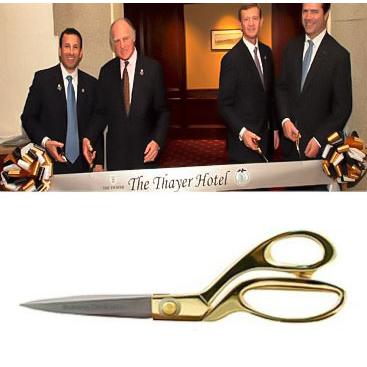9.5 Inch Gold and Chrome Handle Scissors