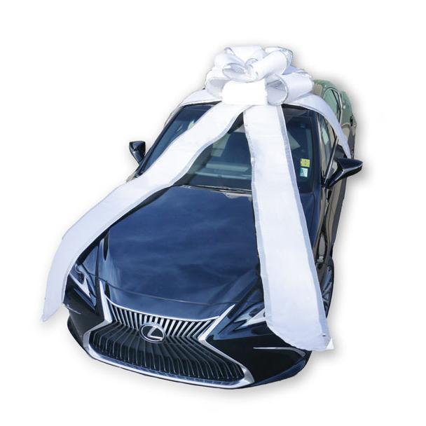 Giant 8 Foot Building or Car 3-D Bow