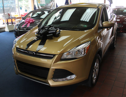 Polyvinyl Magnetic Car Bow