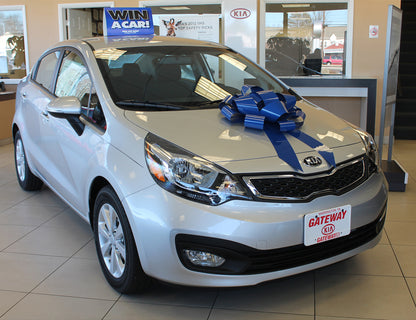 Polyvinyl Magnetic Car Bow