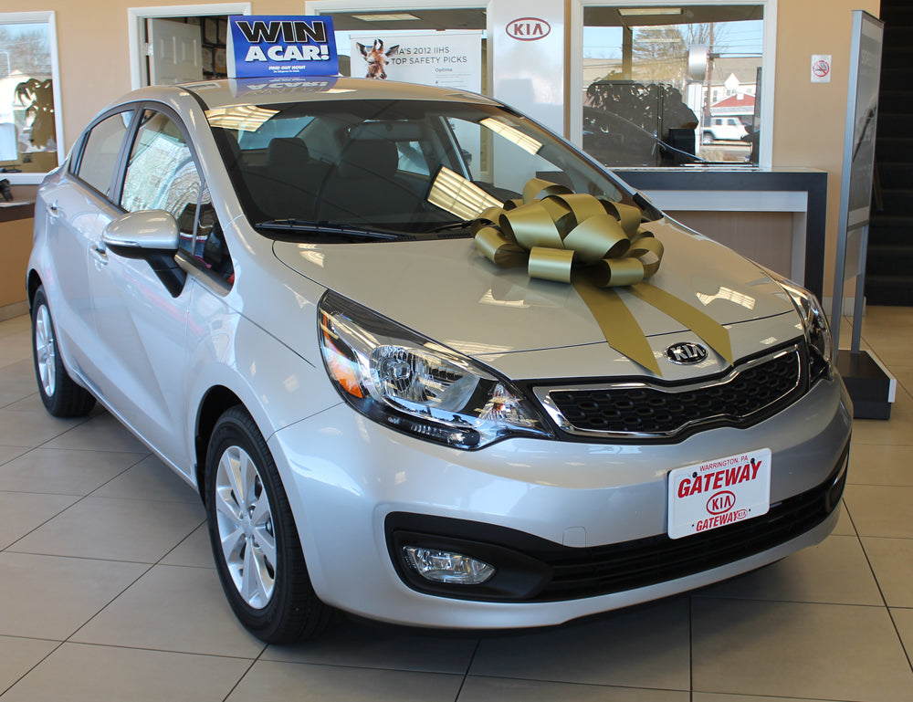 Polyvinyl Magnetic Car Bow