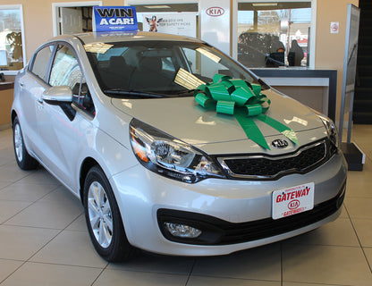Polyvinyl Magnetic Car Bow