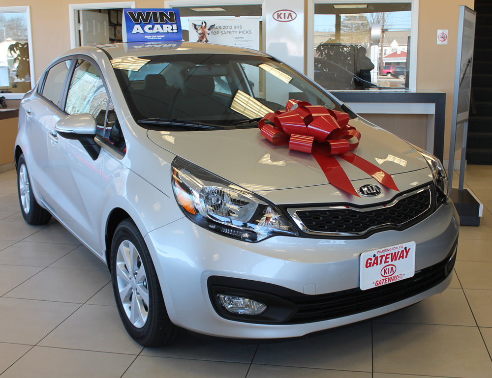 Polyvinyl Magnetic Car Bow