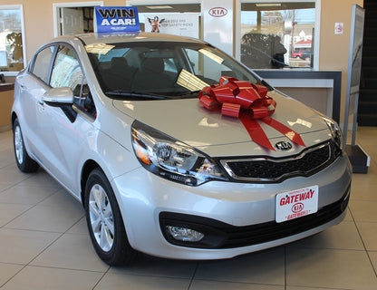 Polyvinyl Magnetic Car Bow