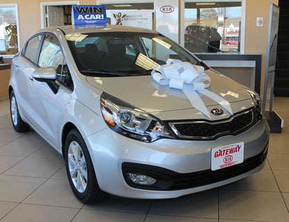 Polyvinyl Magnetic Car Bow