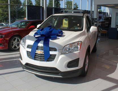 Polyvinyl Magnetic Car Bow