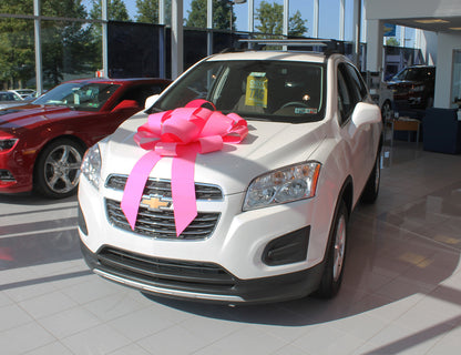Polyvinyl Magnetic Car Bow