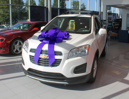 Polyvinyl Magnetic Car Bow