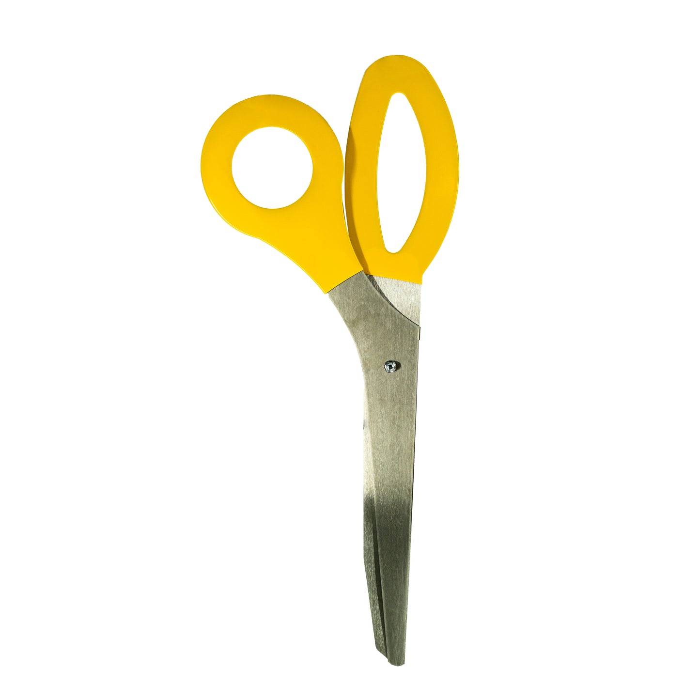 3 Foot Ceremonial Colored Handle Scissors