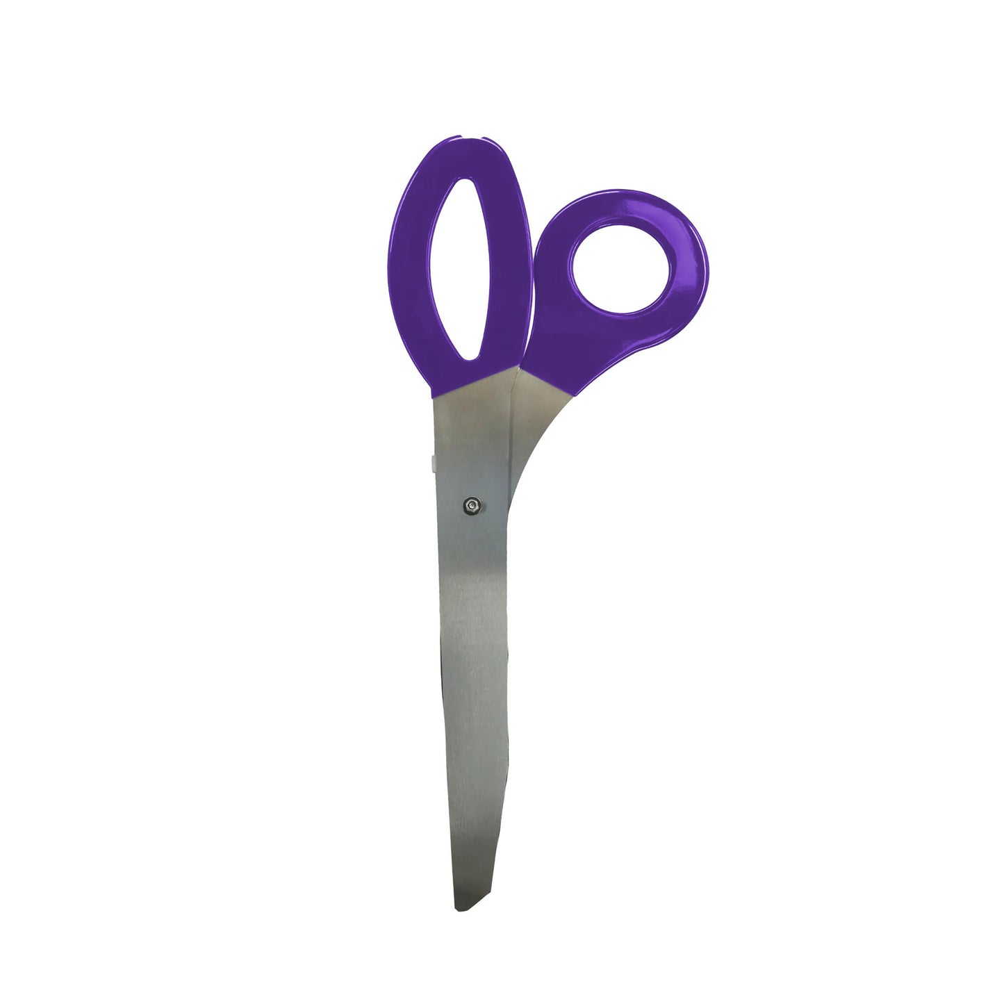 3 Foot Ceremonial Scissors - Purple Handles