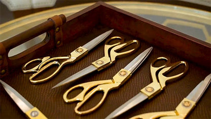 9.5 Inch Gold and Chrome Handle Scissors