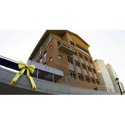 Giant Gold Building or Car Bow